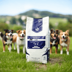 DEI NATURE, Crocchette Cani ALTA ENERGIA 20 kg Maiale,offerta alimento secco bilanciato per cani adulti di tutte le razze e taglie, Prodotto Made in Italy con ingredienti selezionati.