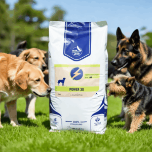 DEI NATURE, Crocchette Cani ALTA ENERGIA POWER 20 kg -(30/20) offerta alimento secco bilanciato per cani sportivi, Prodotto Made in Italy con ingredienti selezionati