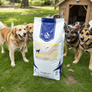 Dei NATURE Crocchette Cani 20 kg Pollo, offerta, alimento secco bilanciato per cani adulti di tutte le razze e taglie, Prodotto Made in Italy con ingredienti selezionati. Prima voce carni