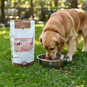Dei NATURE Crocchette per Cani 15 kg Salmone,Alimento PREMIUM Secco bilanciato per Cani Adulti di tutte le razze e taglie, Prodotto Made in Italy con ingredienti selezionati